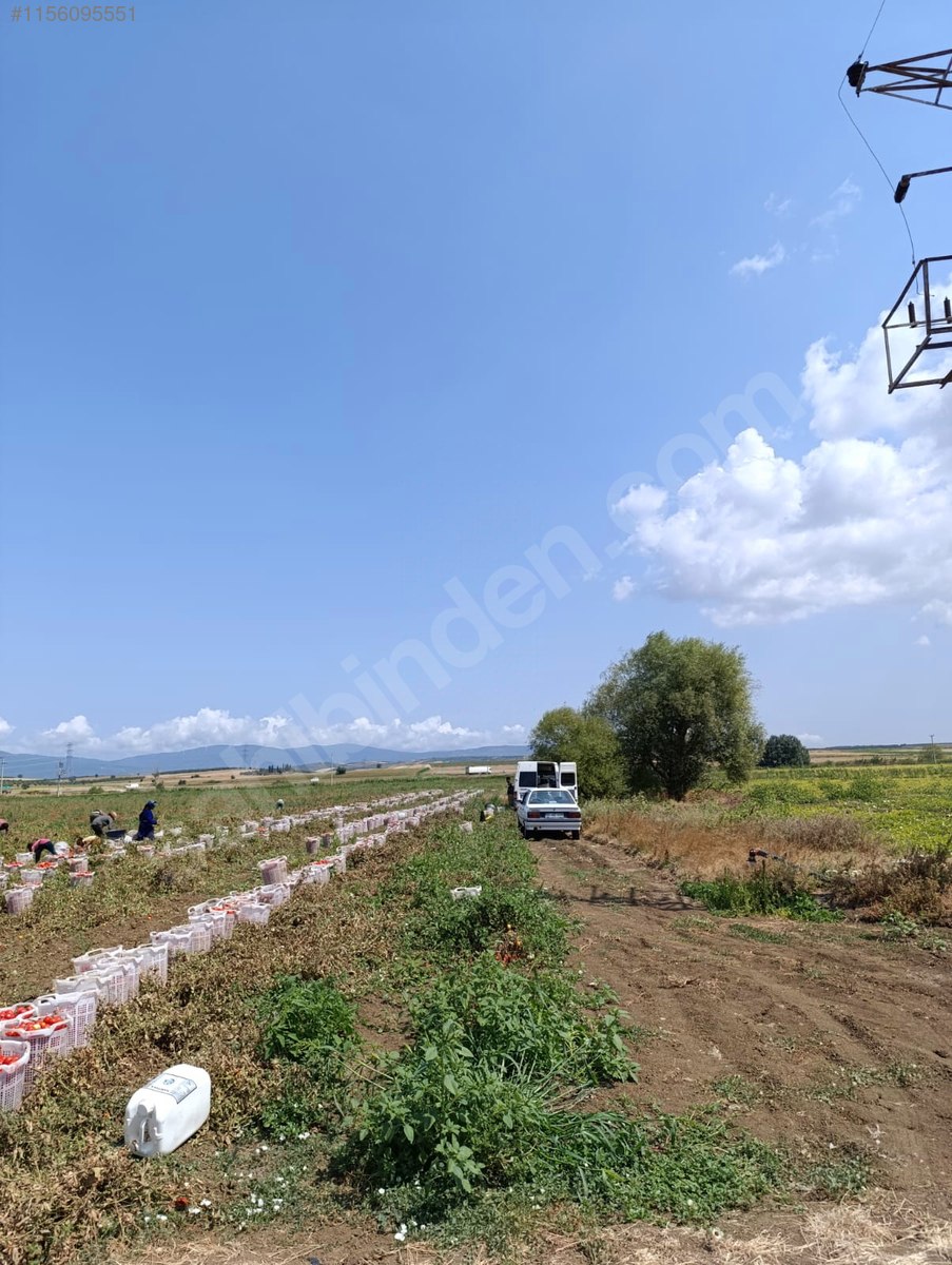 BURSA KARACABEY ÇAVUŞ KÖYÜNDE  3.000  M² TARLA SATILIKTIR - BURSA KARACABEY fotoğraf 19